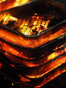 开云足球-森林狼主场布景焕然一新增强品牌识别度，森林狼logo